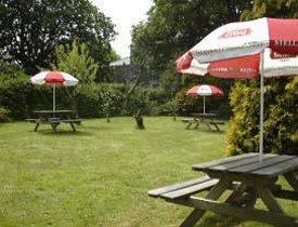 The Sunny Beer Garden